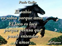 /album/fotogaleria/el-sabio-jpg/